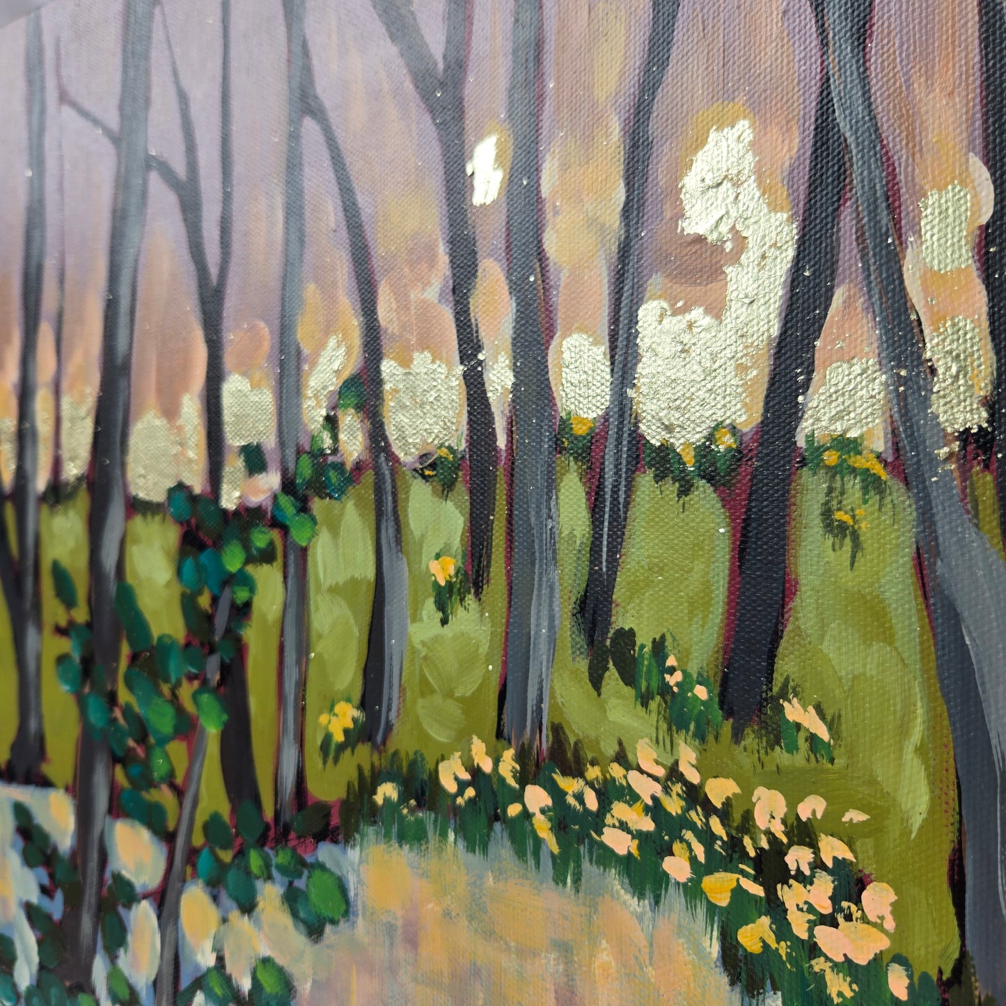 The Wilderness